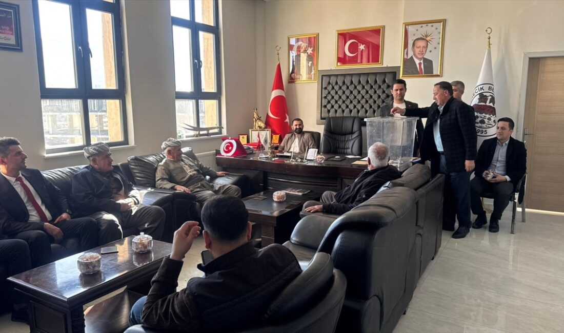 HAKKARİ (AA) – Hakkari'nin Derecik ilçesinde, hakkında 2 yıl 6