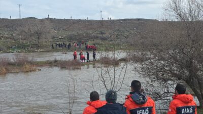 DİYARBAKIR (AA) – Diyarbakır'ın Çınar ilçesinde 21 Ocak'ta evinden ayrıldıktan