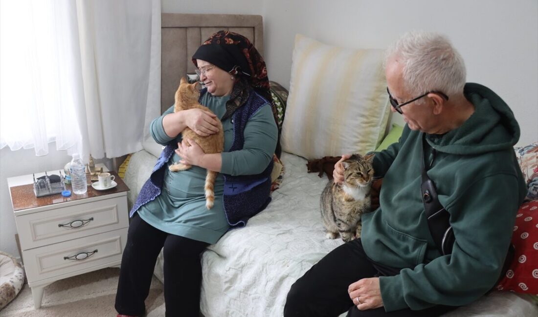 - Kırklareli'nde down sendromlu ve gelişim geriliği bulunan çocuklarının rehabilitasyonu