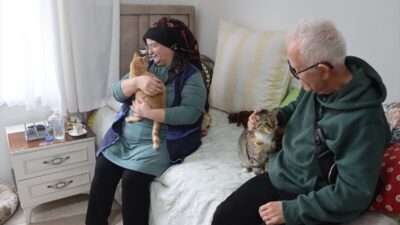 - Kırklareli'nde down sendromlu ve gelişim geriliği bulunan çocuklarının rehabilitasyonu