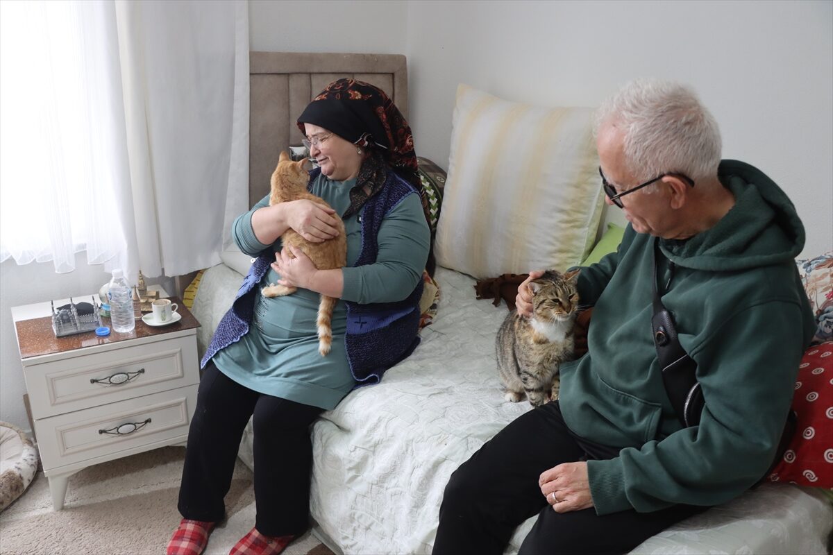 - Kırklareli'nde down sendromlu ve gelişim geriliği bulunan çocuklarının rehabilitasyonu