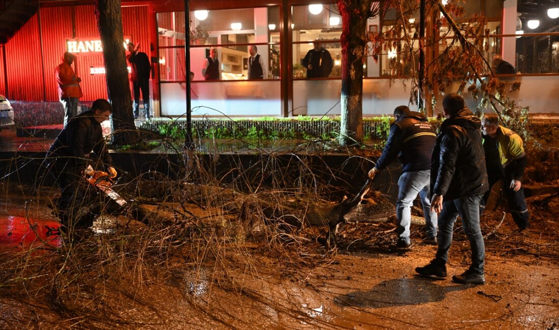 EDİRNE (AA) – Edirne'de fırtına nedeniyle bazı ağaçlar devrildi, bir