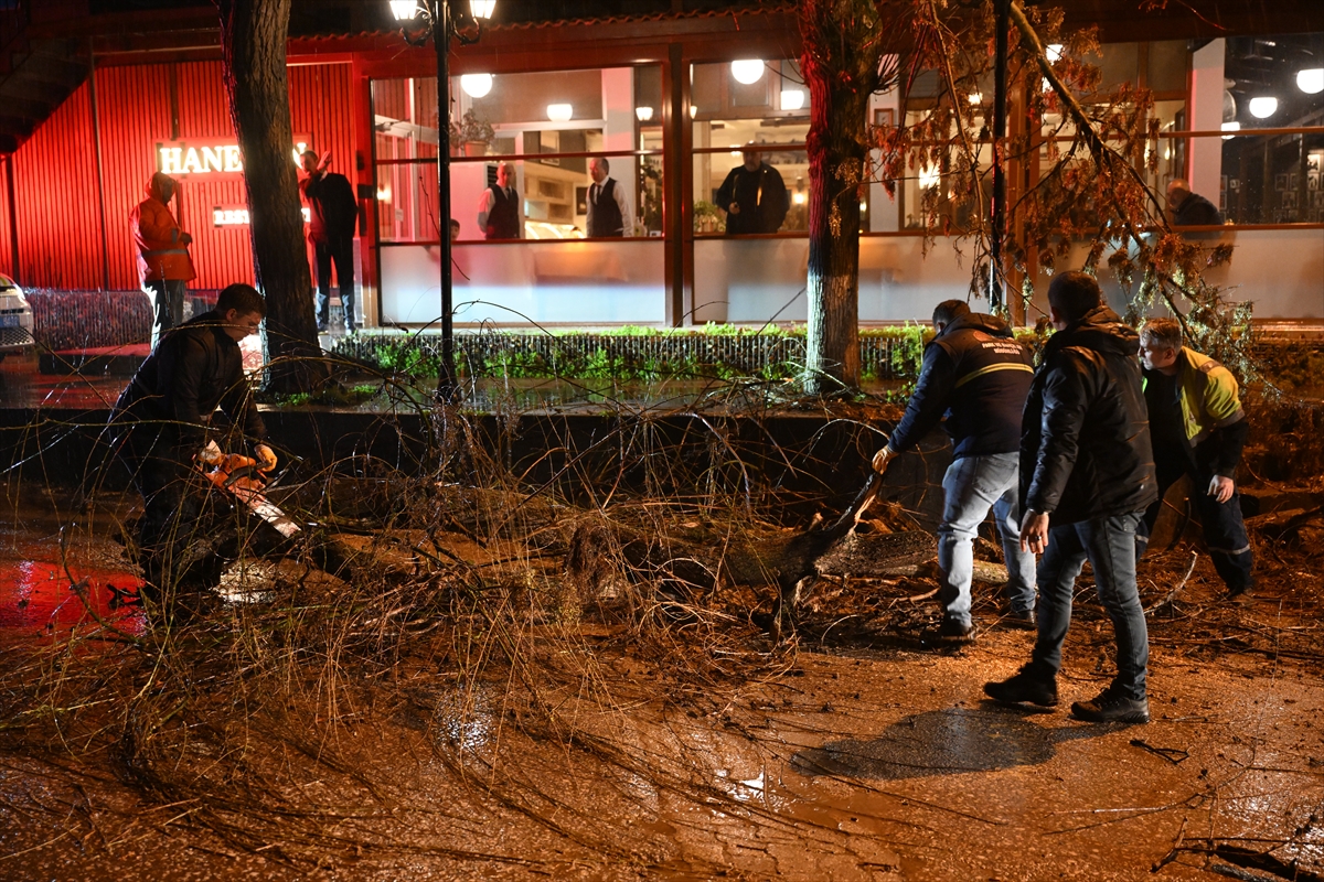 EDİRNE (AA) – Edirne'de fırtına nedeniyle bazı ağaçlar devrildi, bir