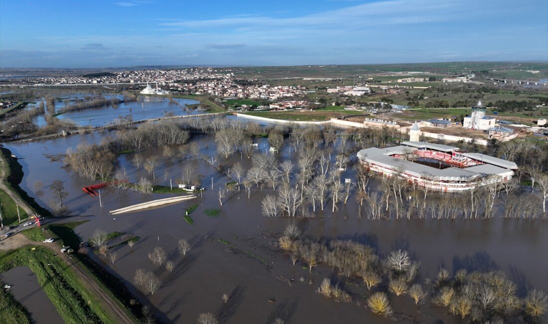 EDİRNE (AA) – Edirne'de debilerinin artması nedeniyle yer yer tarım