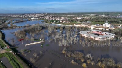 EDİRNE (AA) – Edirne'de debilerinin artması nedeniyle yer yer tarım