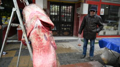 EDİRNE (AA) – Edirne'deki Meriç Nehri'nde 2 metre 40 santimetre