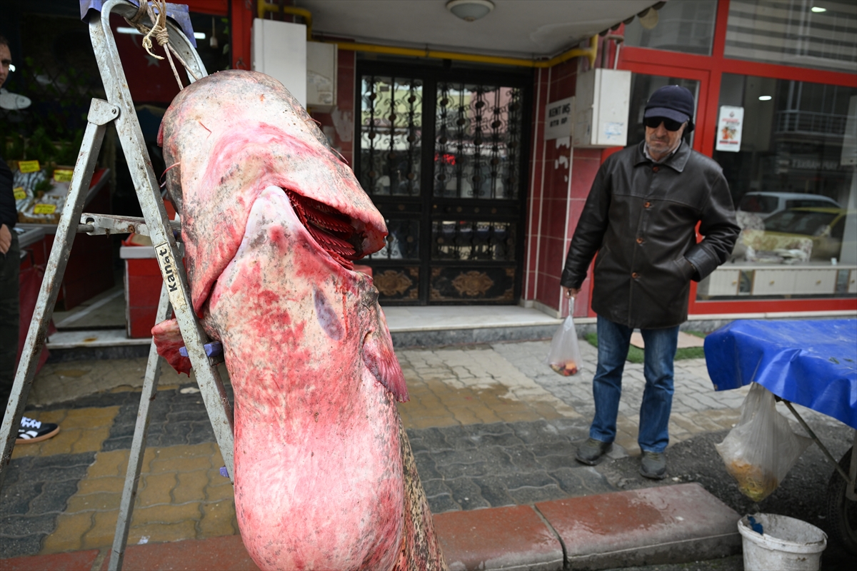 EDİRNE (AA) – Edirne'deki Meriç Nehri'nde 2 metre 40 santimetre