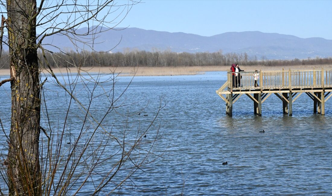 DÜZCE (AA) – Düzce’nin Gölyaka ilçesinde yer alan Efteni Gölü