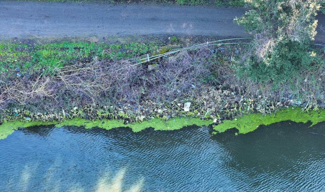 - Bölgeyi ziyaret edenlerin çevreye bıraktığı plastik şişe, kağıt, poşet