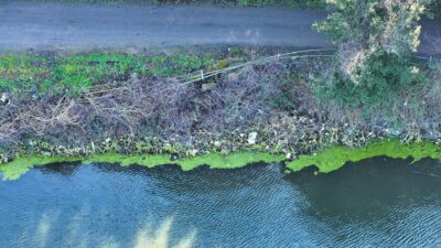 - Bölgeyi ziyaret edenlerin çevreye bıraktığı plastik şişe, kağıt, poşet