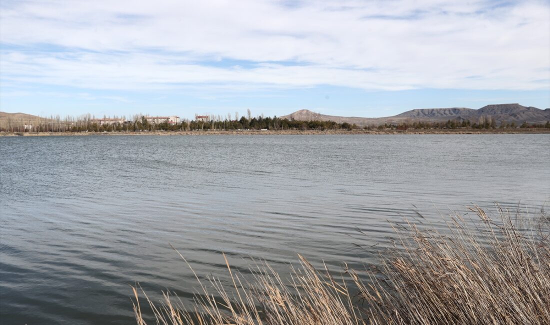 - Ulaş Belediye Başkanı Turan İlbey:
- "Şu anda yüzde 50-60