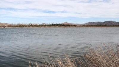- Ulaş Belediye Başkanı Turan İlbey:
- "Şu anda yüzde 50-60