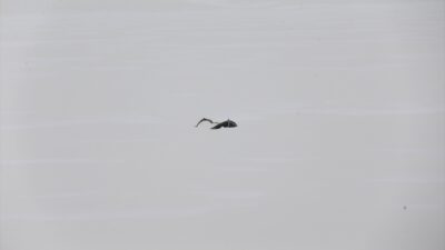 ERZURUM (AA) – Erzurum'un Karayazı ilçesinde, etkili olan soğuk hava