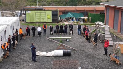 - İstanbul Valiliğince kentteki 28 arama kurtarma köpeğinin sayısını artırmak