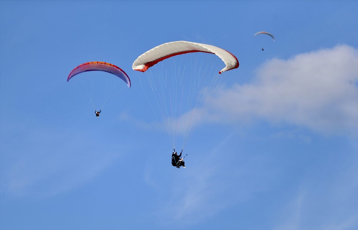 - Ölüdeniz Yamaç Paraşütü Pilotları Kooperatifi Yönetim Kurulu Üyesi Zafer