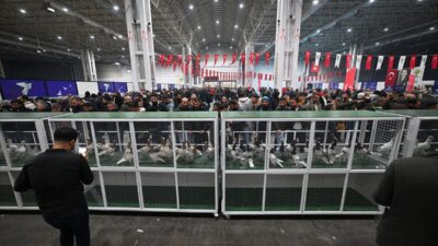 GAZİANTEP (AA) – Gaziantep'te Şehitkamil Belediyesi ile Güvercin Sevenler Derneği