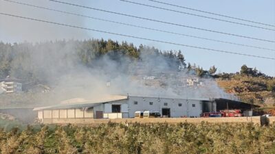 GAZİANTEP (AA) – Gaziantep'in İslahiye ilçesindeki biber fabrikasında çıkan yangın