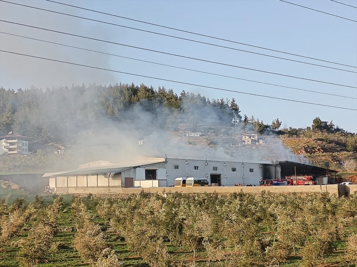 GAZİANTEP (AA) – Gaziantep'in İslahiye ilçesindeki biber fabrikasında çıkan yangın