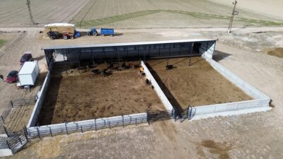 - Aksaray'daki çiftliğini büyütmek isteyen Fatih İlik:
- "2 yıl hiç