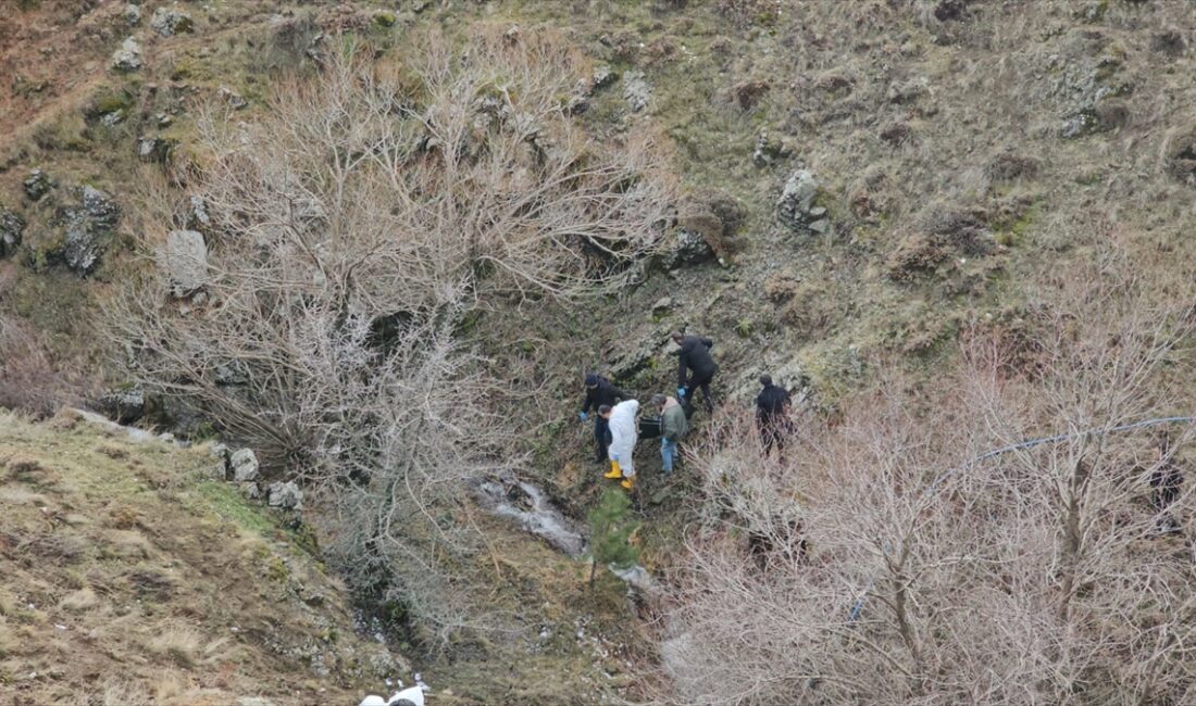 - 76 yaşındaki Ali Osman Kaya'yı öldürüp cesedini dere yatağına