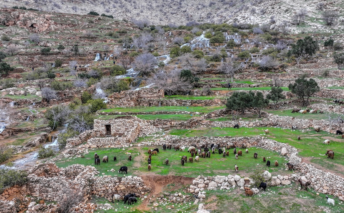 - Diyarbakır ve Mardin'de etkili olan kar yağışları bölgede birçok
