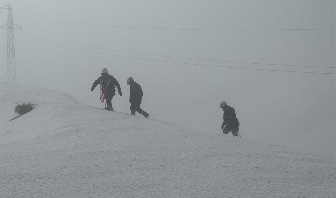 HAKKARİ (AA) – Hakkari'nin Yüksekova ilçesinde Vangölü Elektrik Dağıtım AŞ