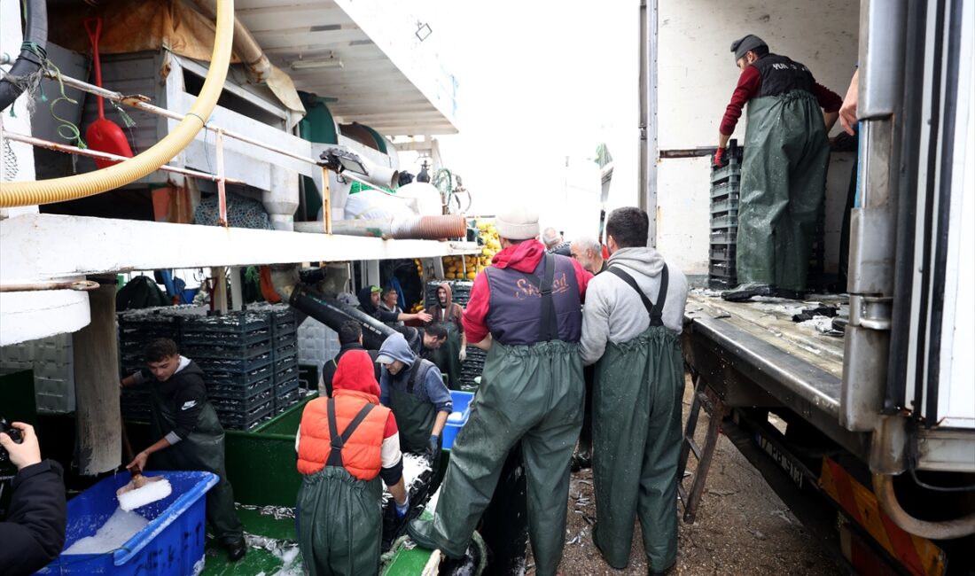 - Kar yağışı ve soğuk havanın ardından Kırklareli'nin İğneada açıklarına