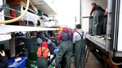 - Kar yağışı ve soğuk havanın ardından Kırklareli'nin İğneada açıklarına