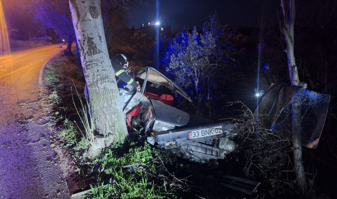 HATAY (AA) – Hatay'ın Altınözü ilçesinde yol kenarındaki ağaca çarpan