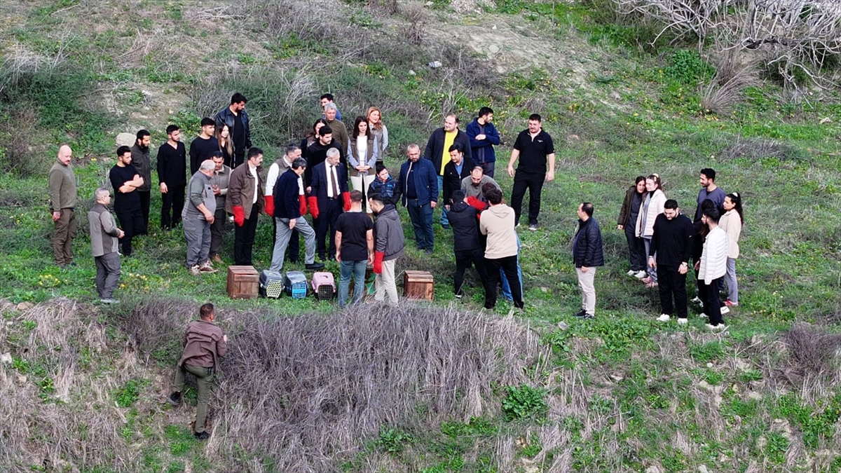 HATAY (AA) – Hatay'da yaralı ve güçten düşmüş halde bulunan