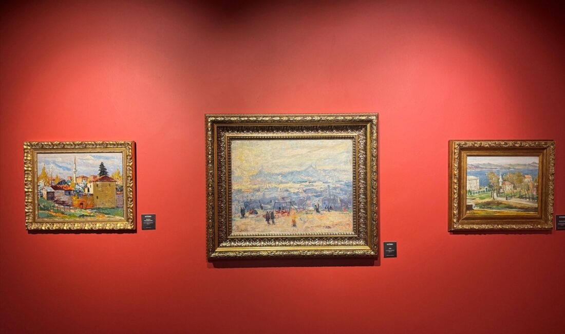 - Doç. Dr. Safiyev Elşad Suleymanoğlu:
- "Bu sergide İbrahim Safi'nin