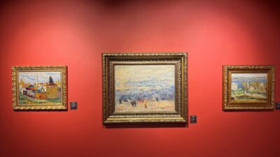 - Doç. Dr. Safiyev Elşad Suleymanoğlu:
- "Bu sergide İbrahim Safi'nin