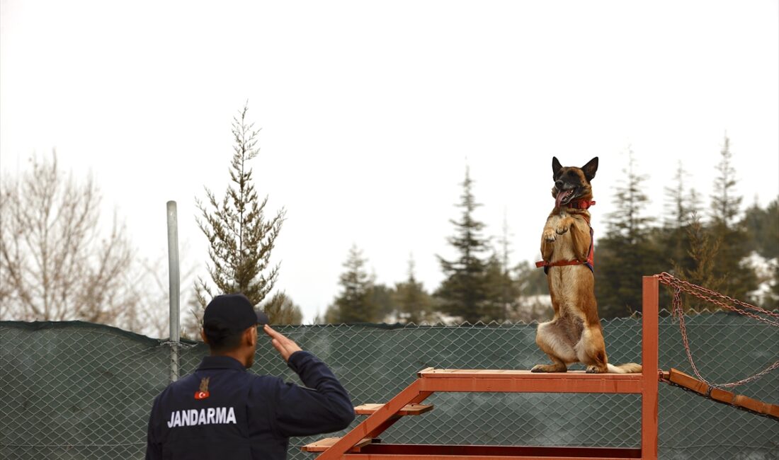 - Hassas burnuyla enkazdan ormana, çığdan çamura kadar en zorlu