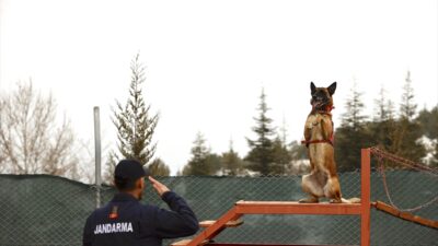 - Hassas burnuyla enkazdan ormana, çığdan çamura kadar en zorlu