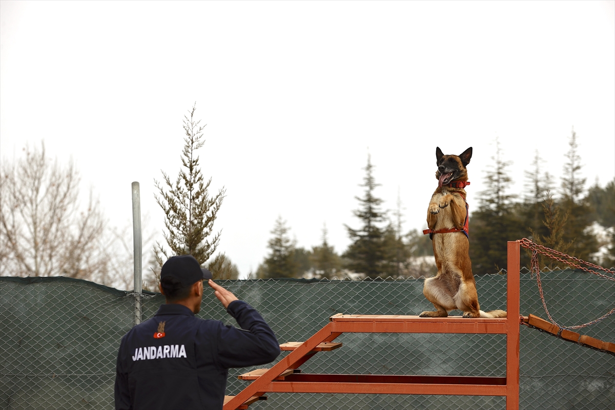 - Hassas burnuyla enkazdan ormana, çığdan çamura kadar en zorlu