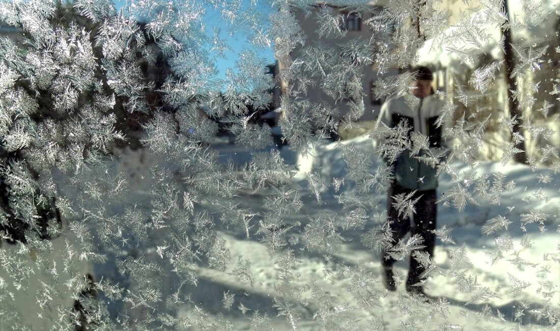 KARS (AA) – Kars ile Ardahan'da kar ve soğuk hava