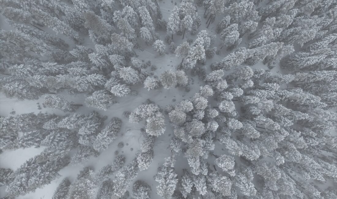 KASTAMONU (AA) – Kastamonu'nun yüksek kesimlerinde kar yağışı etkili oldu.