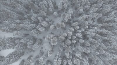 KASTAMONU (AA) – Kastamonu'nun yüksek kesimlerinde kar yağışı etkili oldu.