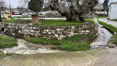 - Çanakkale'nin Bayramiç Barajı'nda son yağışlarla su seviyesi yüzde 100'e