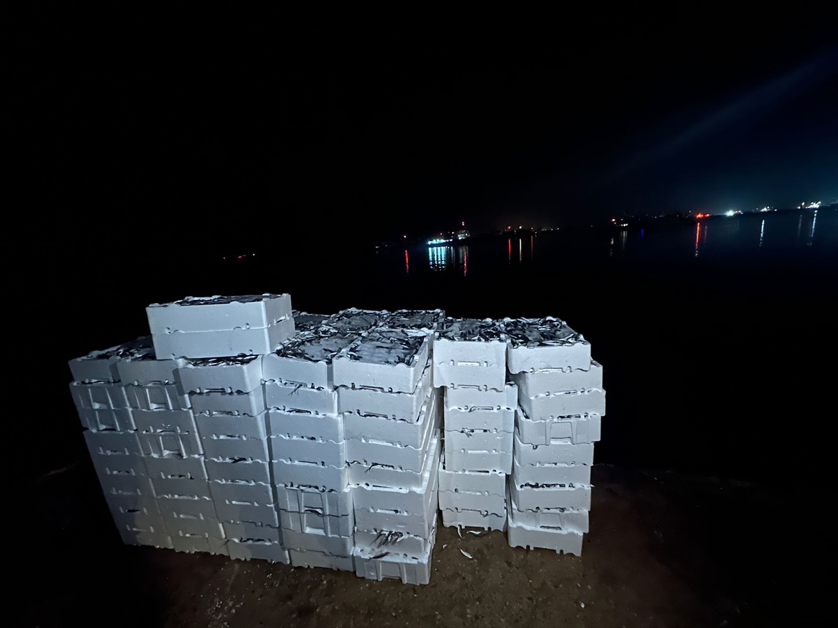 - Balıklar, Sosyal Yardımlaşma ve Dayanışma Vakfınca ihtiyaç sahiplerine dağıtıldı