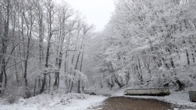 KIRKLARELİ (AA) – Kırklareli'nin yüksek kesimlerinde kar yağışı etkisini sürdürüyor.