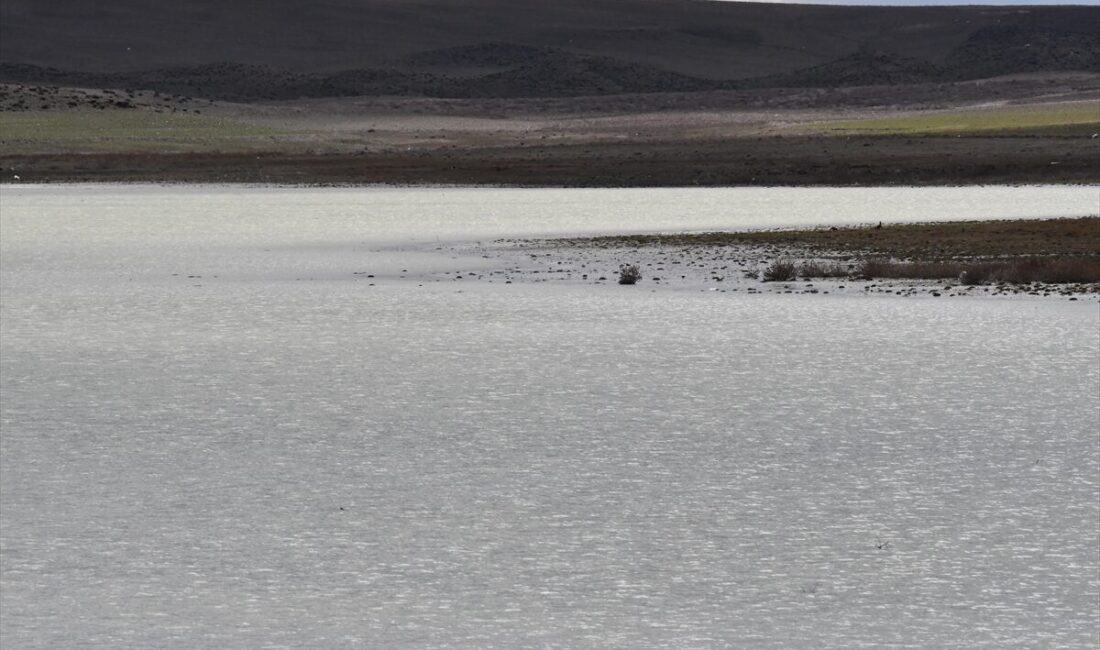 KONYA (AA) – Konya'nın Kulu ilçesinde yaşanan kuraklık sonrası 2022