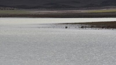 KONYA (AA) – Konya'nın Kulu ilçesinde yaşanan kuraklık sonrası 2022