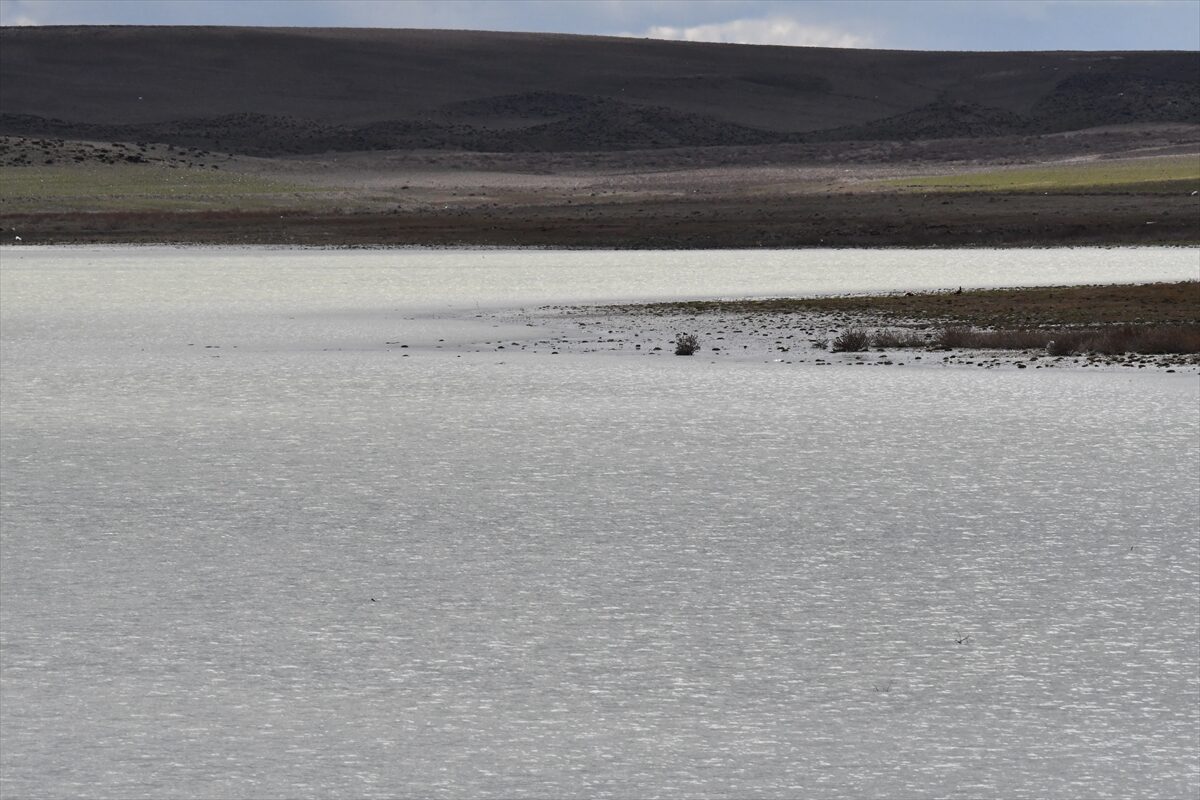 KONYA (AA) – Konya'nın Kulu ilçesinde yaşanan kuraklık sonrası 2022