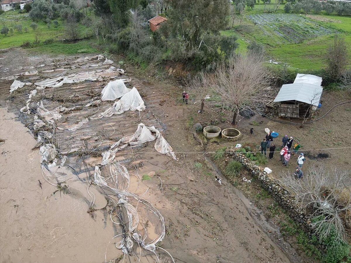 MUĞLA (AA) – Muğla'nın Köyceğiz ilçesinde yağışlarla debisi yükselen derelerin