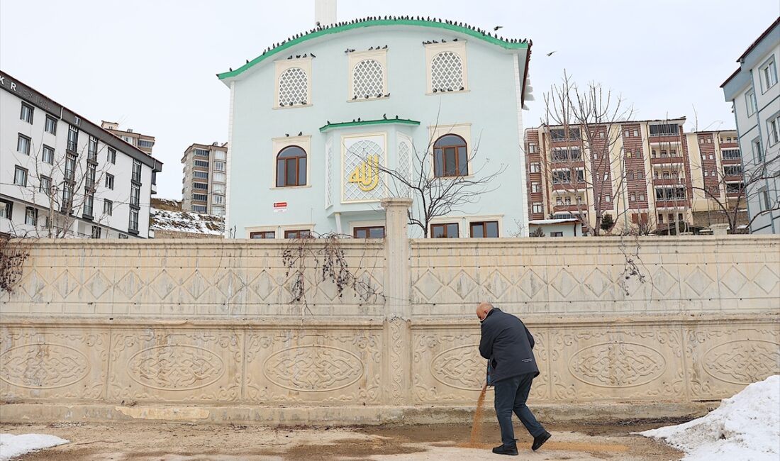 - Bayburtlu esnaf Ahmet Özbek, kışın yiyecek bulmakta zorlanan kuşlar