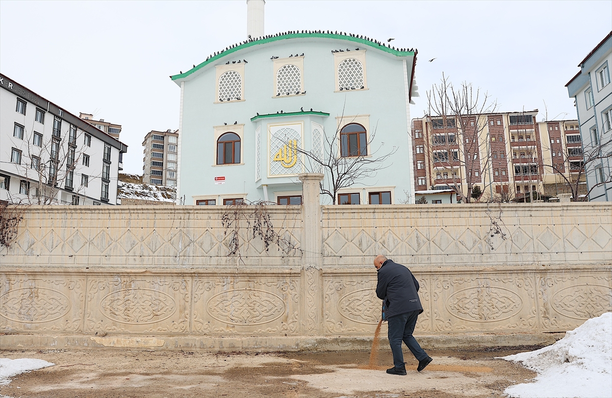 - Bayburtlu esnaf Ahmet Özbek, kışın yiyecek bulmakta zorlanan kuşlar
