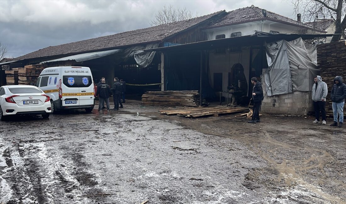 KÜTAHYA (AA) – Kütahya'nın Simav ilçesinde, bir kereste atölyesinde tomruk