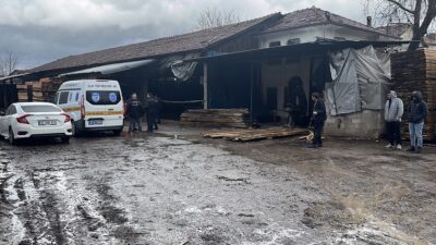 KÜTAHYA (AA) – Kütahya'nın Simav ilçesinde, bir kereste atölyesinde tomruk