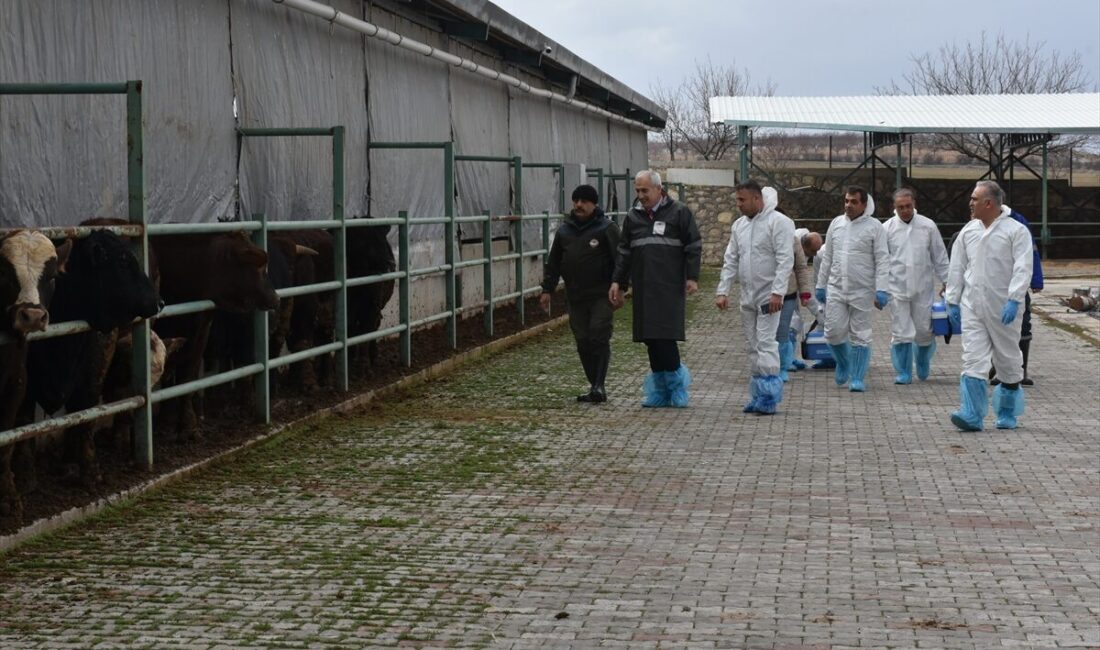 MALATYA (AA) – Malatya'da, Tarım ve Orman Bakanlığının 2026 Yılı